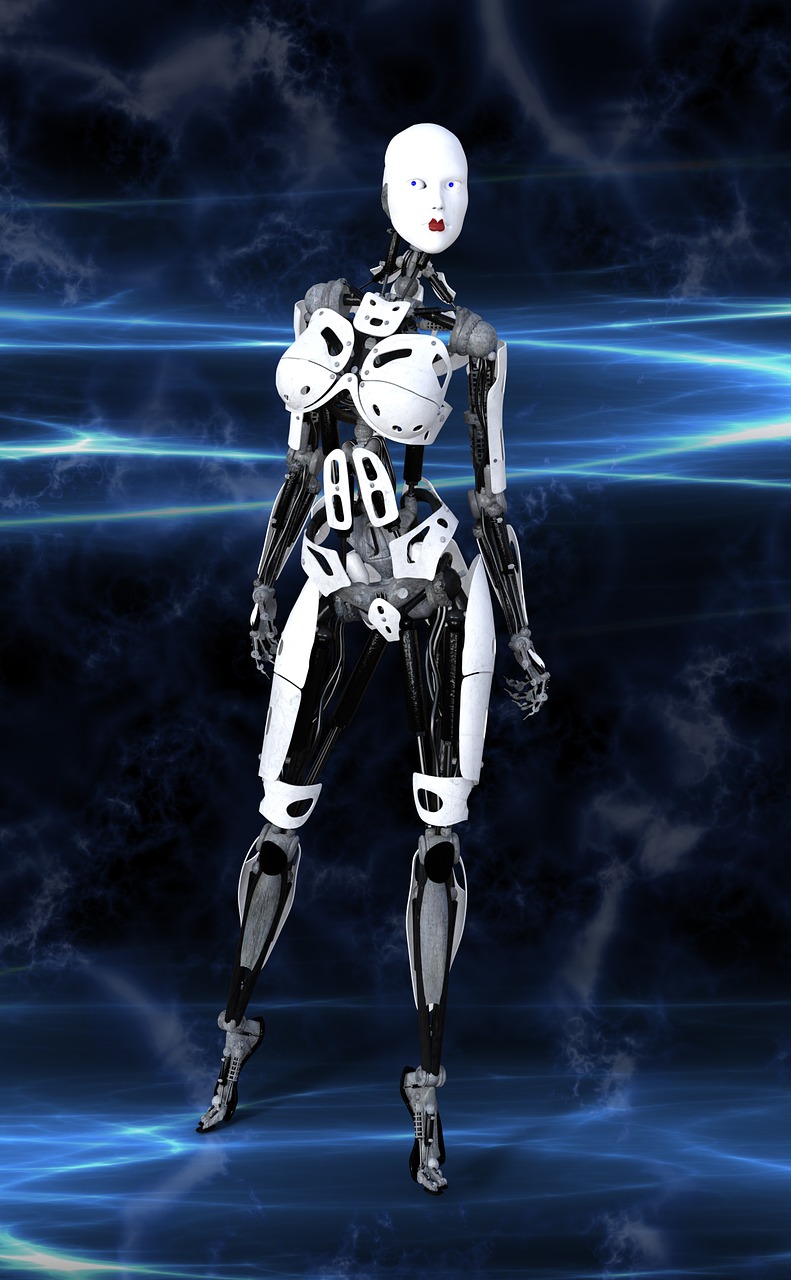 电子商务网站建设实验指导:高校教学实训项目操作手册解析